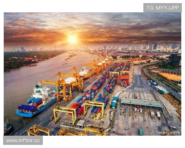 满冠地址平台在现代商业中的重要性与发展前景探讨