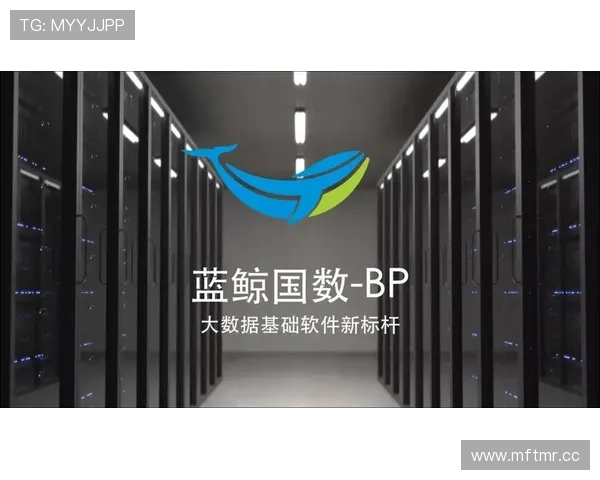 蓝鲸中文站：利用大数据分析精准推送优质中文内容满足多样化阅读需求